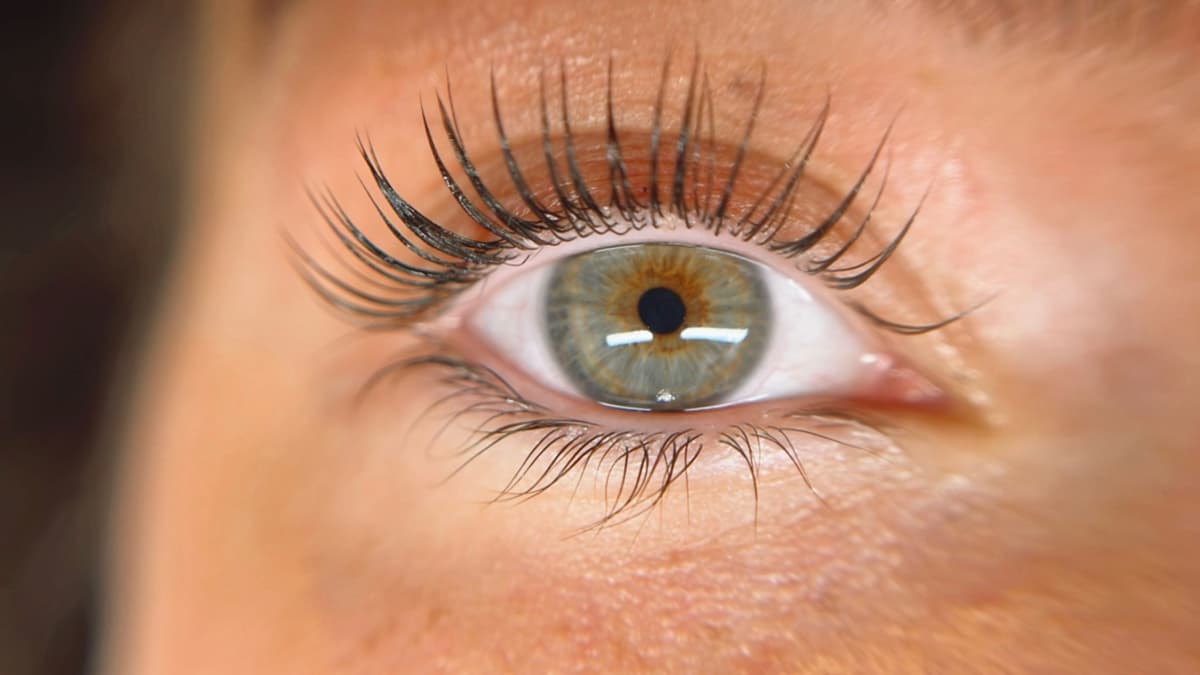 Lash Lovers Studio en Ferrol